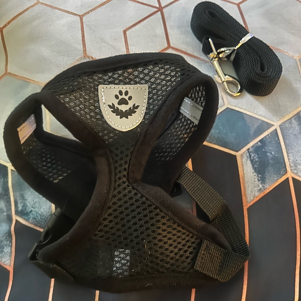 Black Mesh Dog Harness and Leash Set